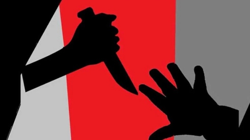 ভাইয়ের হাতে ভাই খু/ন পাবনায় 