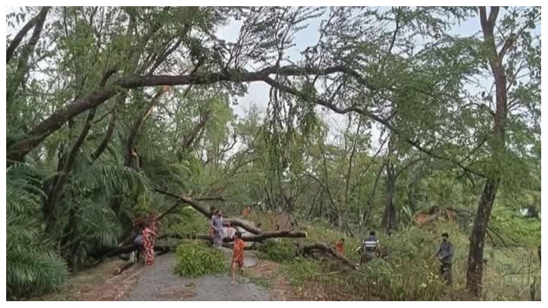 রামগতিতে কালবৈশাখীর তাণ্ডবে ব্যাপক ক্ষয়ক্ষতি, বিদ্যুৎ সরবরাহ বন্ধ
