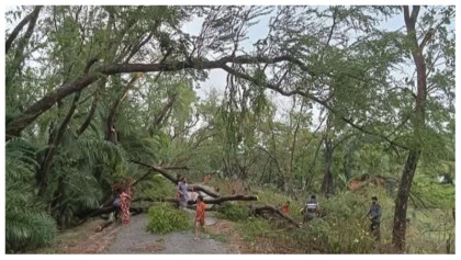 রামগতিতে কালবৈশাখীর তাণ্ডবে ব্যাপক ক্ষয়ক্ষতি, বিদ্যুৎ সরবরাহ বন্ধ

