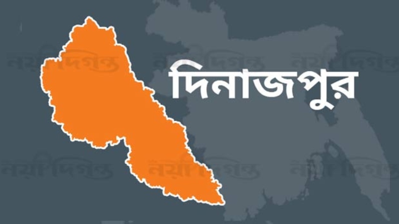দিনাজপুরে পুকুরের পানিতে ডুবে শিশুর মৃত্যু