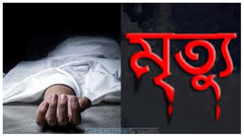 রান্নাঘরে সাপের কামড়ে গৃহবধূর মৃত্যু