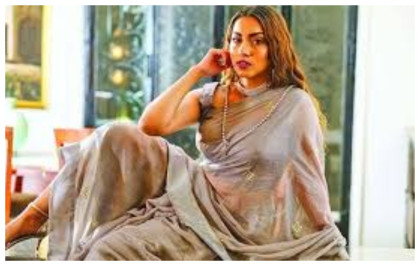 শুনানি শেষে জামিন পেলেন মডেল মেঘনা আলম