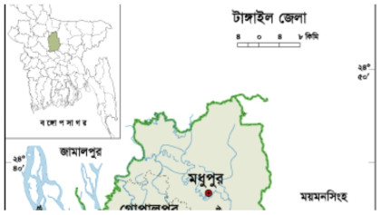 অশালীন আচরণের অভিযোগে  প্রধান শিক্ষককে ‘জুতাপেটা’