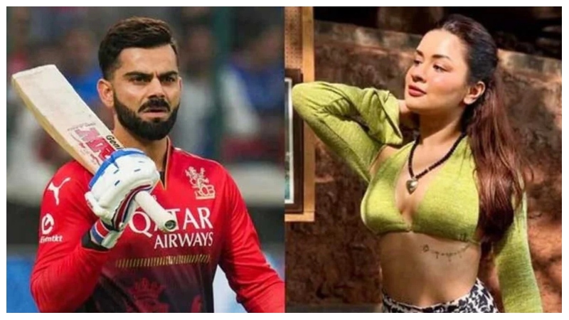 অখ্যাত অভিনেত্রীর ছবিতে লাইক কোহলির