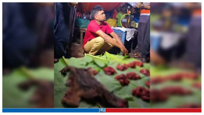  শিয়ালের মাংস বিক্রি, ৬ মাসের কারাদণ্ড