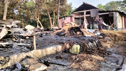 আগুনে পুড়ল বৈশাখের ধান, বইখাতা ও বসতভিটা—সুনামগঞ্জে নিঃস্ব পাঁচ পরিবার
