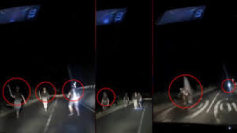 মাওয়া এক্সপ্রেসওয়ের ভাইরাল ভিডিওর ঘটনায় ডাকাত দল গ্রেপ্তার