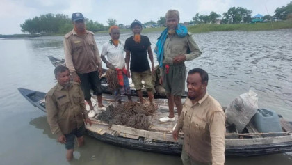 সুন্দরবনে চোরা শিকারিদের ৬০০ হরিণের ফাঁদ ও দুটি নৌকা জব্দ
