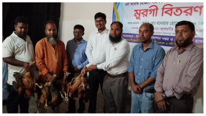 কাওয়াকোলা ও মেছড়া ইউনিয়নে সুফলভোগীদের ৩২৮ টি পরিবারের মাঝে মুরগী বিতরণ
