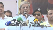 আওয়ামী লীগকে আর দেখতে চায় না মানুষ: মির্জা ফখরুল