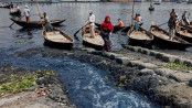 অ্যান্টিবায়োটিক থেকে নদীর পানিতে বিপর্যয়