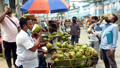 তীব্র গরমে ডাবের চাহিদা বেড়েছে, দাম ছুঁয়েছে ২০০ টাকা
